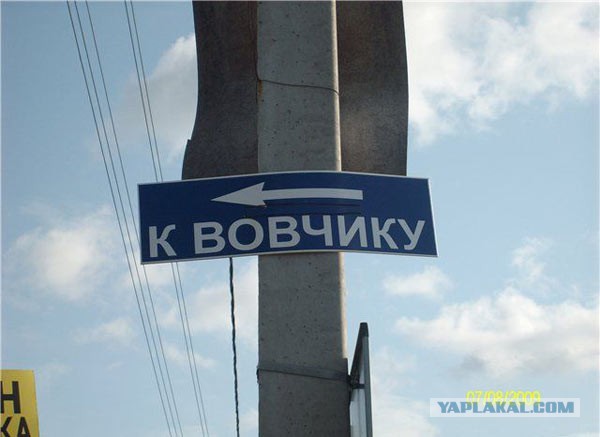 Преступная теория Регины Тодоренко