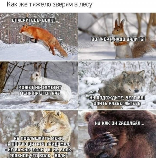 Картинки