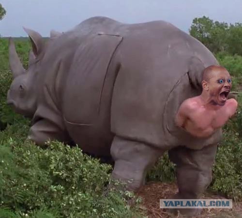 Фотожаба: Ща спою!