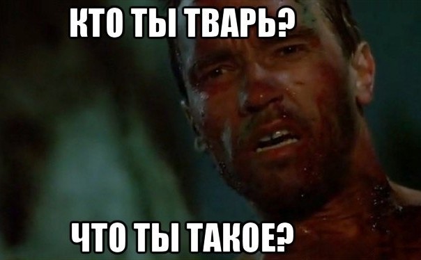 Пятничная жопка