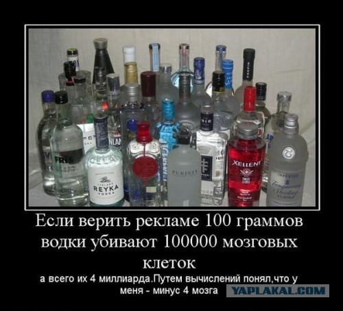 Пить или не пить...