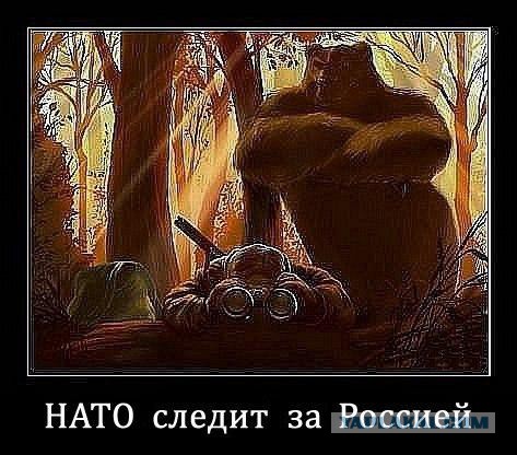 США: "Мы уже ничего не можем сделать"