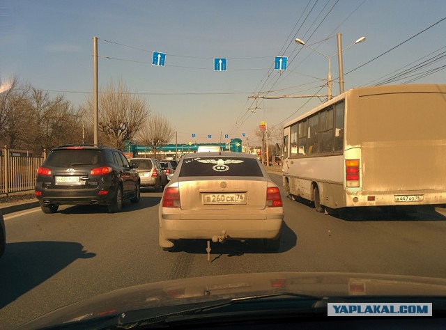 Что за мразь?