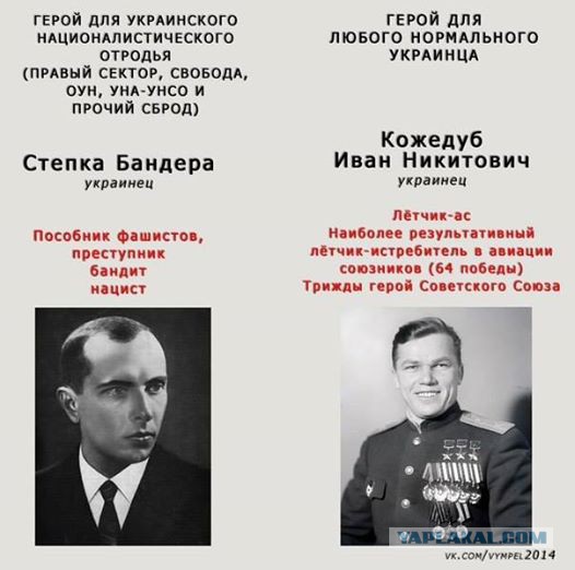 "В логове врага"