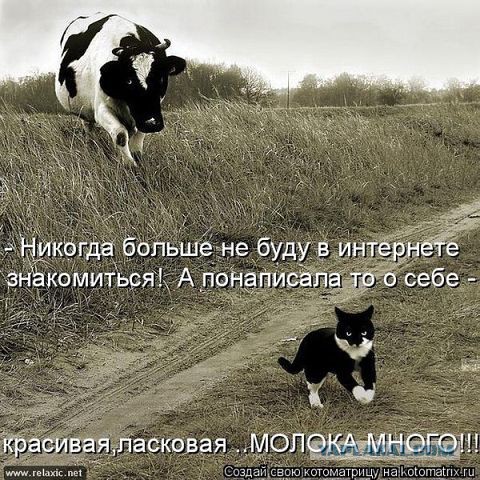 Смешные картинки