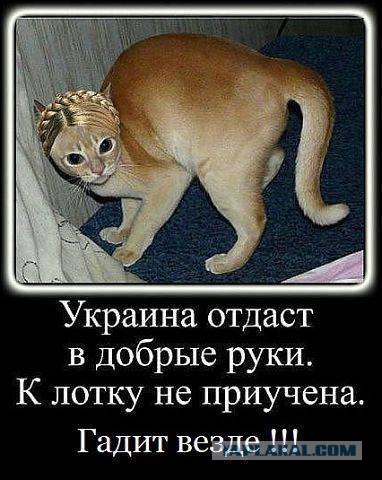 Мразь Тимошенко благодарит фашистов в Одессе