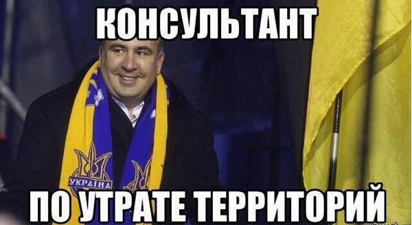 Саакашвили подарил грузинские земли Турции - СМИ