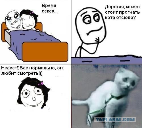 Американцы шутят. Часть 1