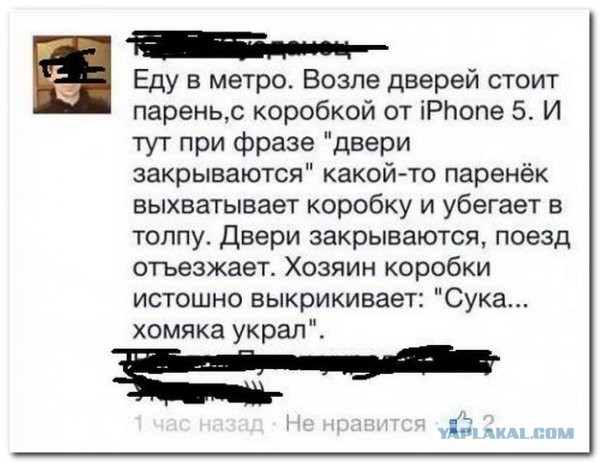 Смешные комментарии из социальных сетей