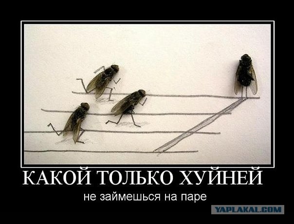 На лекции