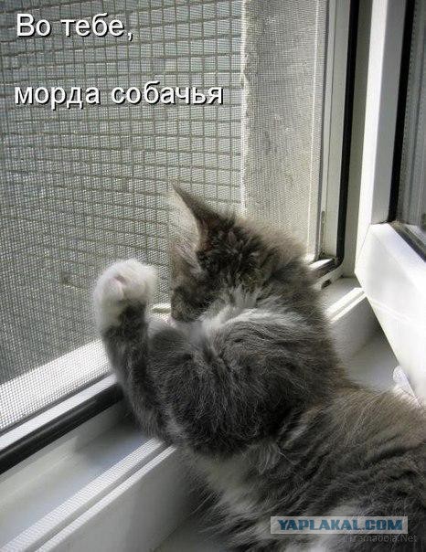 Пятничная подборка