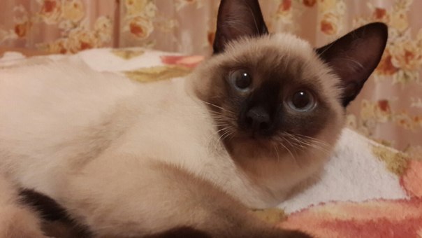 Казалось бы, обычное утро...