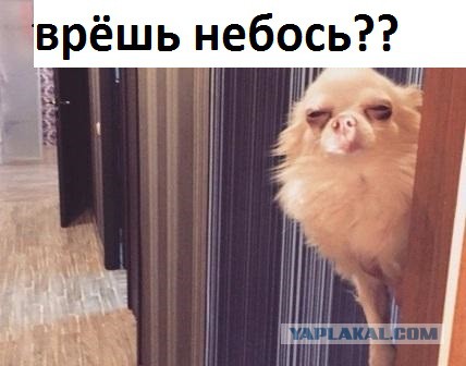 Профилактика! С 8-ми часов утра будут забанены