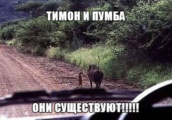 Картинки 12.05.2015