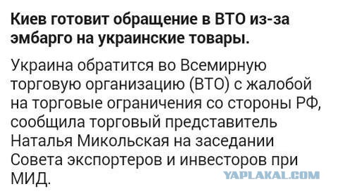 Перемирие кончилось, едва начавшись. Часть 14