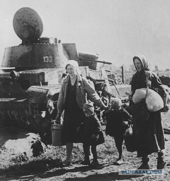 Завалили трупами