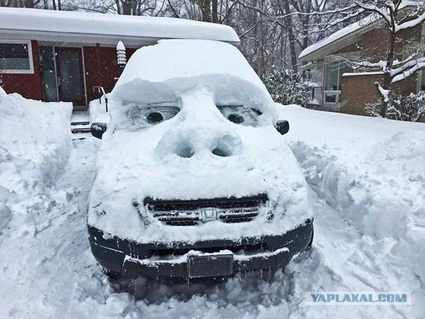 Ужасы и приколы из соцсетей