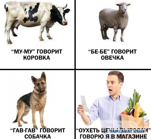 Последствия эмбарго. Вывод американцев