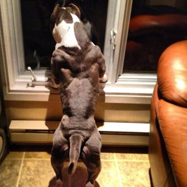 Подборка красивых картинок