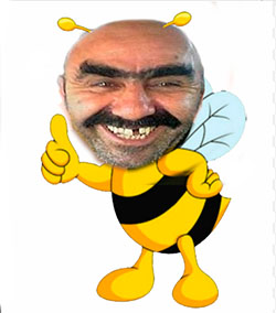 Тариф длинный шмель денег мало. Длинный шмель билайн. Длинный шмель. Шмель прикол. Денег мало длинный шмель.