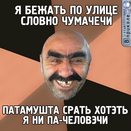 Подборка веселых картинок