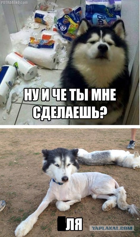 Фото из этих ваших интернетов