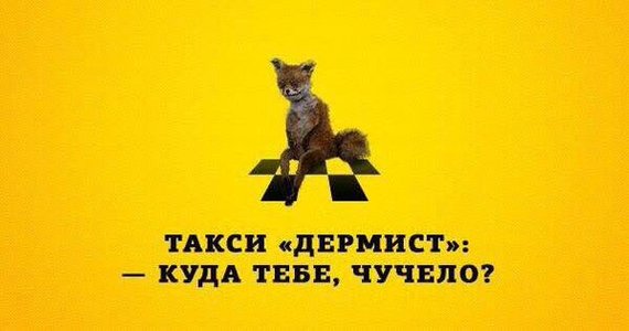 Таксидермическая фабрика в Намибии