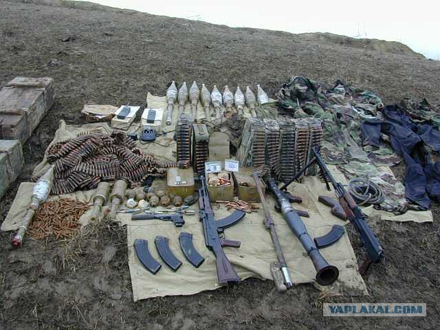 Собака всю ночь согревала молодого человека, заблудившегося в лесу в Чечне