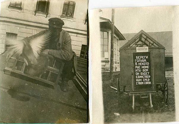 Фотографии к "Нахальному минированию" и "Лехе"-2