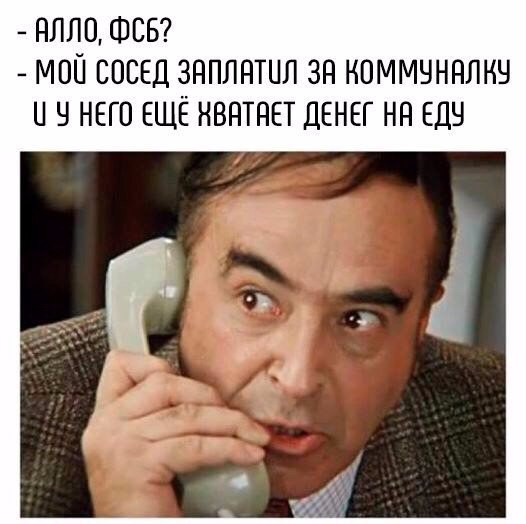 Подборка безудержного веселья