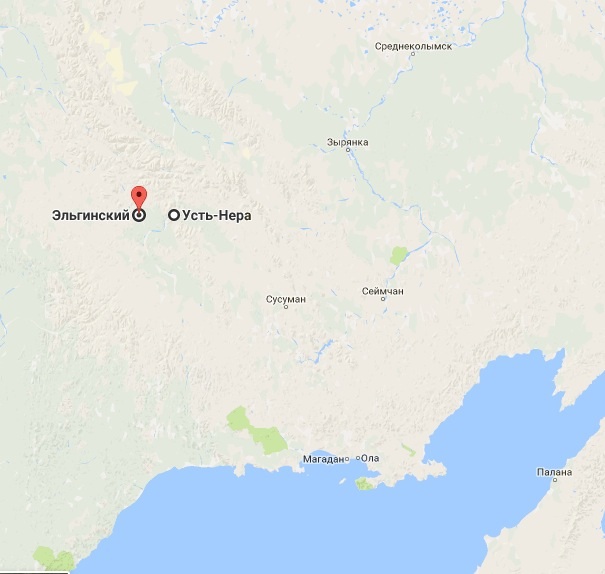 Что делать при встрече с медведем