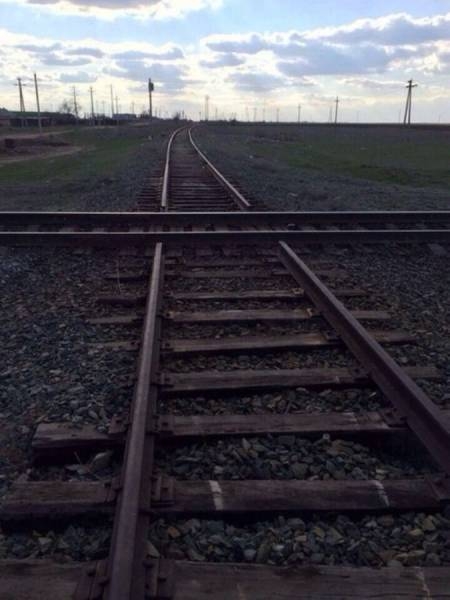 Подборка интересных и веселых картинок