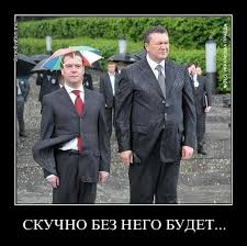 Под дождём