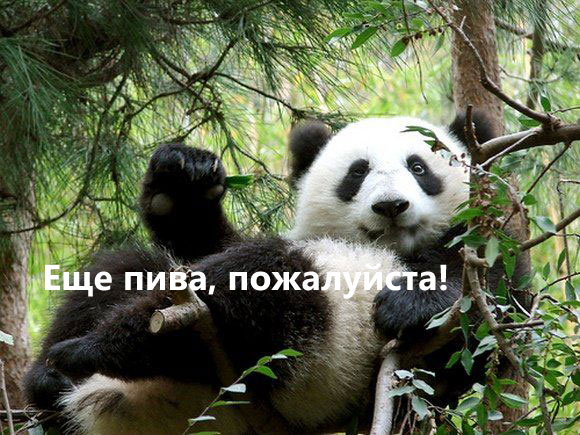 С ПЯТНИЦЕЙ!