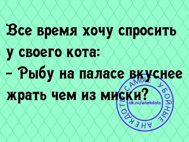 Смешные комментарии из социальных сетей 04.08.2017