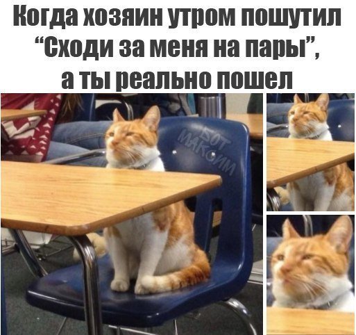 Приколы в стиле "регресс"