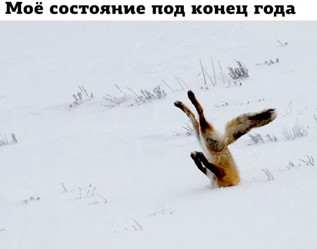 Итоги проверки пользователей