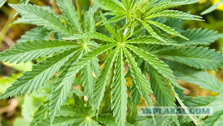 Сны, это не то, что нам кажется