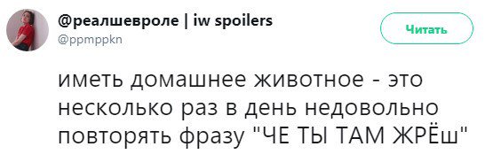 И сбоку бантик