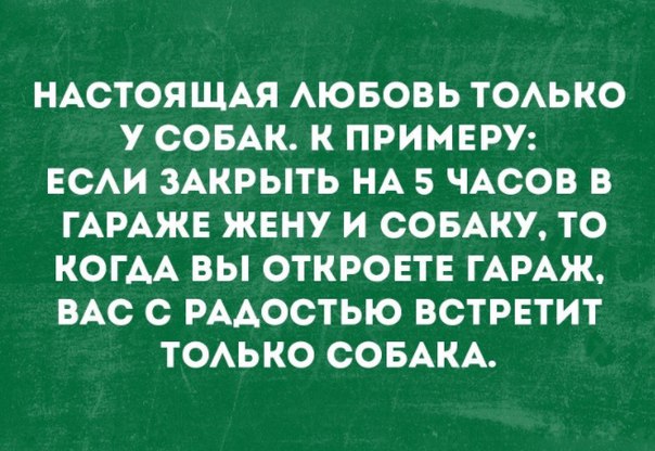 Пёс не сдавался и упорно тащил тяжёлый пакет до самого порога