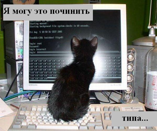 Весёлая подбока зверей (9 штук)