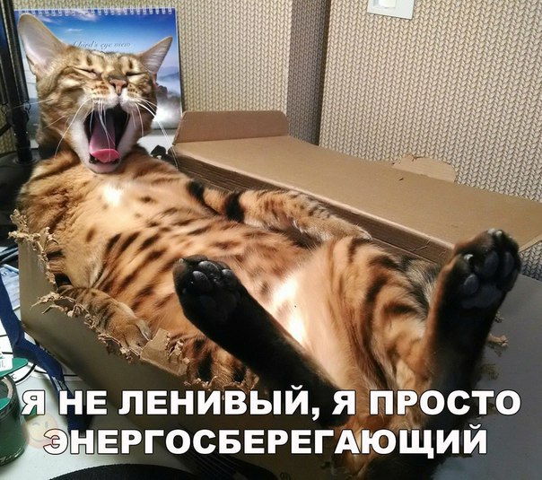 Немного нестандартный юмор