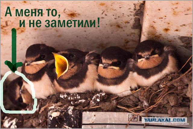 По жизни с музыкой!