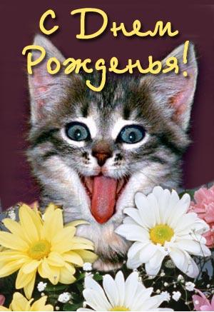 7  лет сайту ЯПлакалъ!