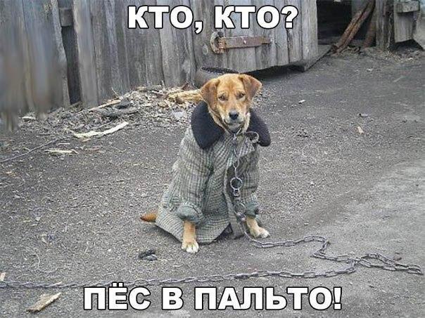 Чуток картинок 16.04.20