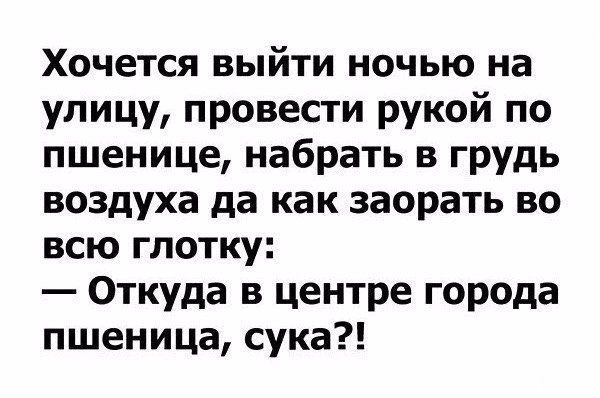 Так себе картинки 01.08.20