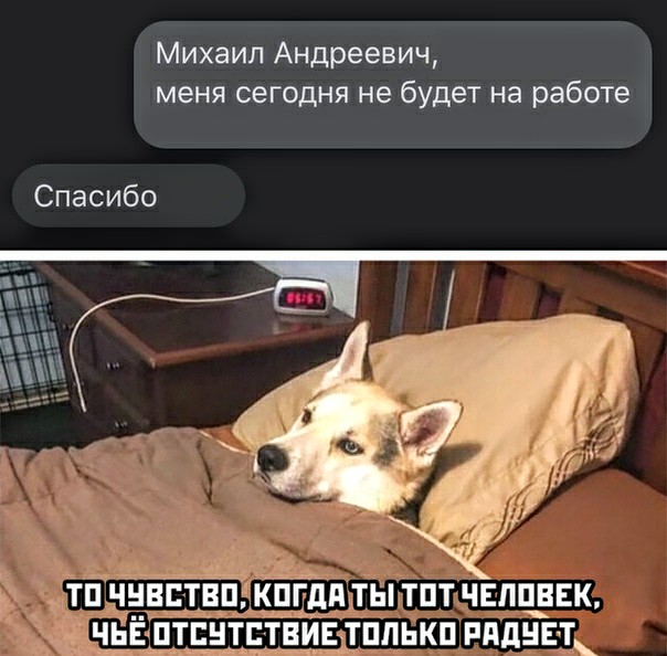 Немного картинок для настроения 16.09.20