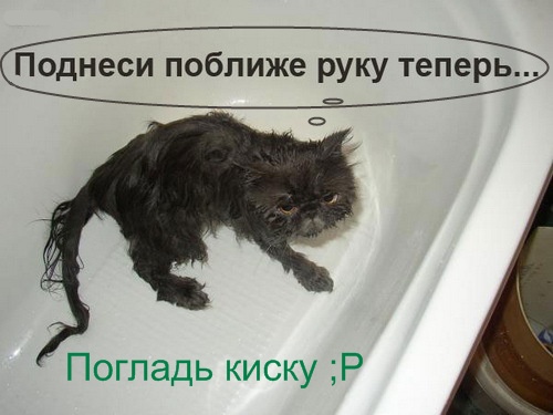 Фотожаба: А ты?