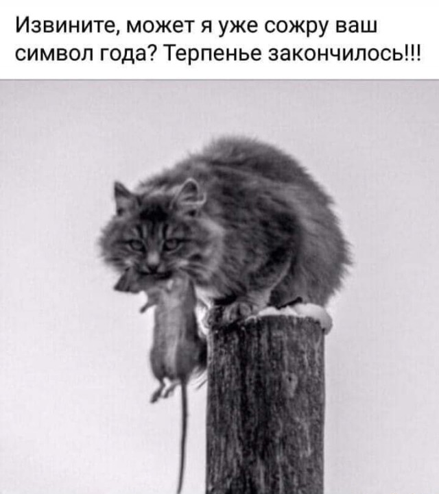 Бредзона 29.12.2020
