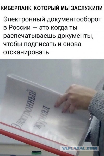 ПФР подал в суд на 90-летнего жителя Кубани за то, что он «незаконно обогатился» на 25 тыс. рублей за 3 года